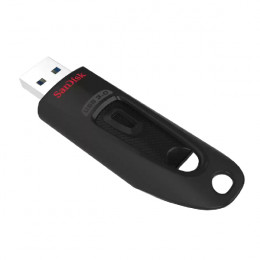 SANDISK SDCZ48-256G-U46 USB Flash Drive 256 GB | Sandisk