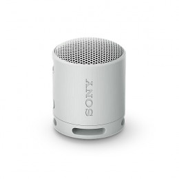 SONY XB100 Bluetooth Speaker, Grey | Sony