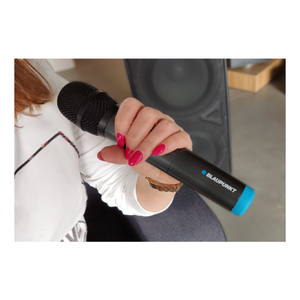 BLAUPUNKT WM60UDB Dual Wireless Microphone with Receiver | Blaupunkt| Image 4