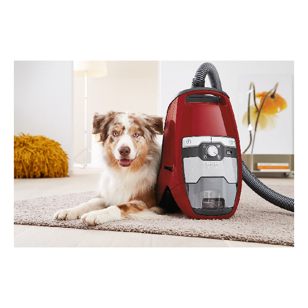 MIELE SKCF5 Blizzard CX1 Cat and Dog Bagless Vacuum Cleaner, Red | Miele| Image 5