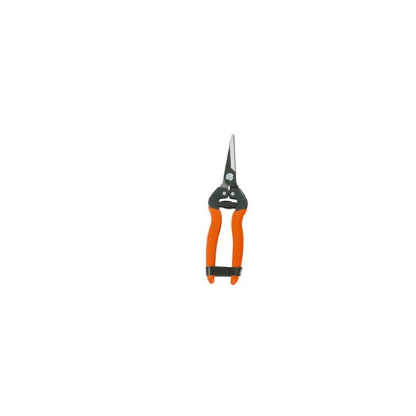 CLASSIC GRE4141 Pointed Pruner | Classic| Image 2