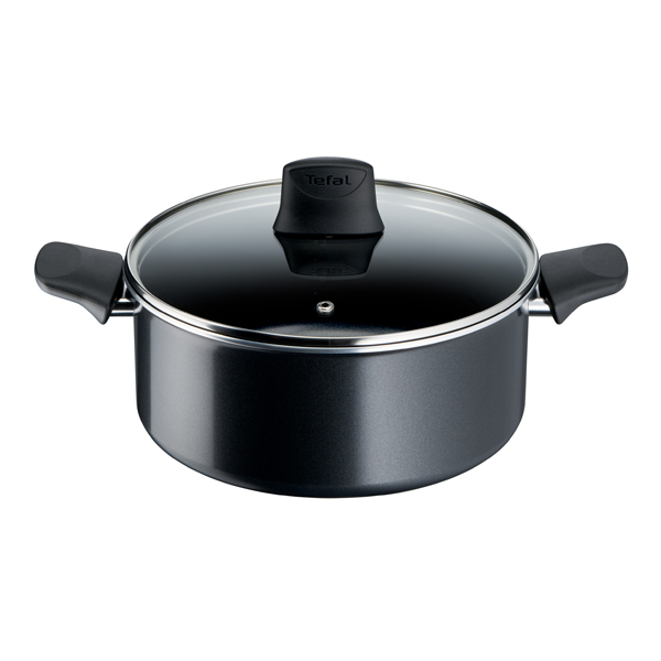 TEFAL C27846 Generous Cook Pot with Lid 24 cm, Black