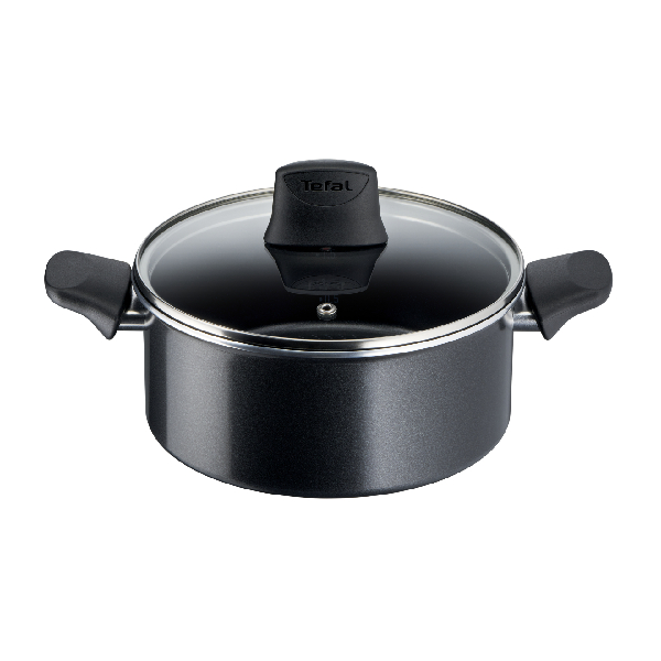 TEFAL C27844 Generous Cook Pot with Lid 20 cm, Black