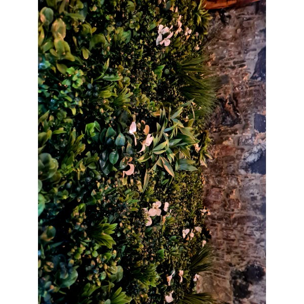 ROMA Artificial Green Wall 1X1M | Green-wall| Image 3