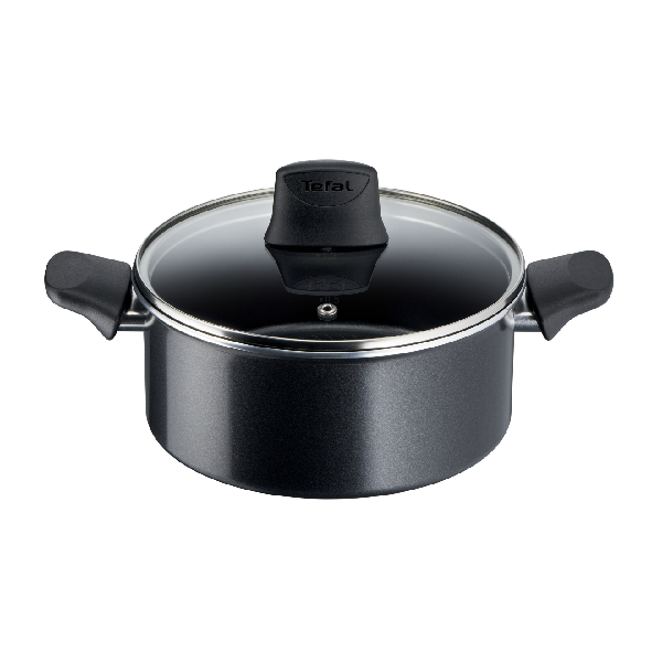 TEFAL C27844 Generous Cook Κατσαρόλα με Καπάκι 20 cm, Μαύρο | Tefal