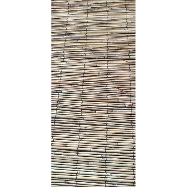 Bamboo Fencing 1MX5M | Atl| Image 2